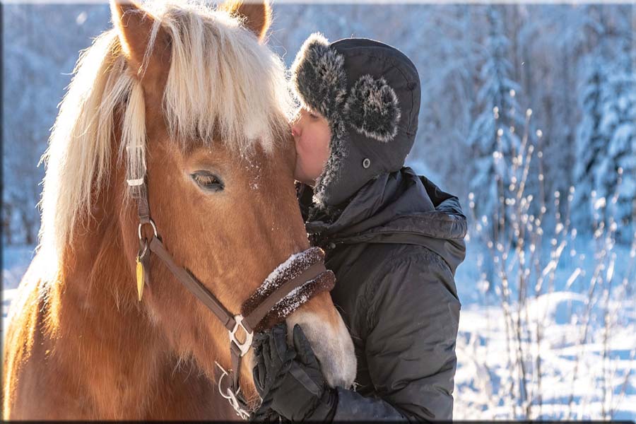 Basic Equine Visits