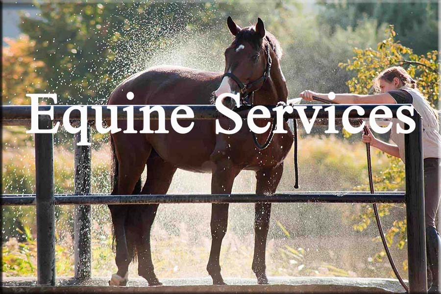 Equine Services